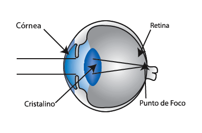 Diagrama Vision Normal